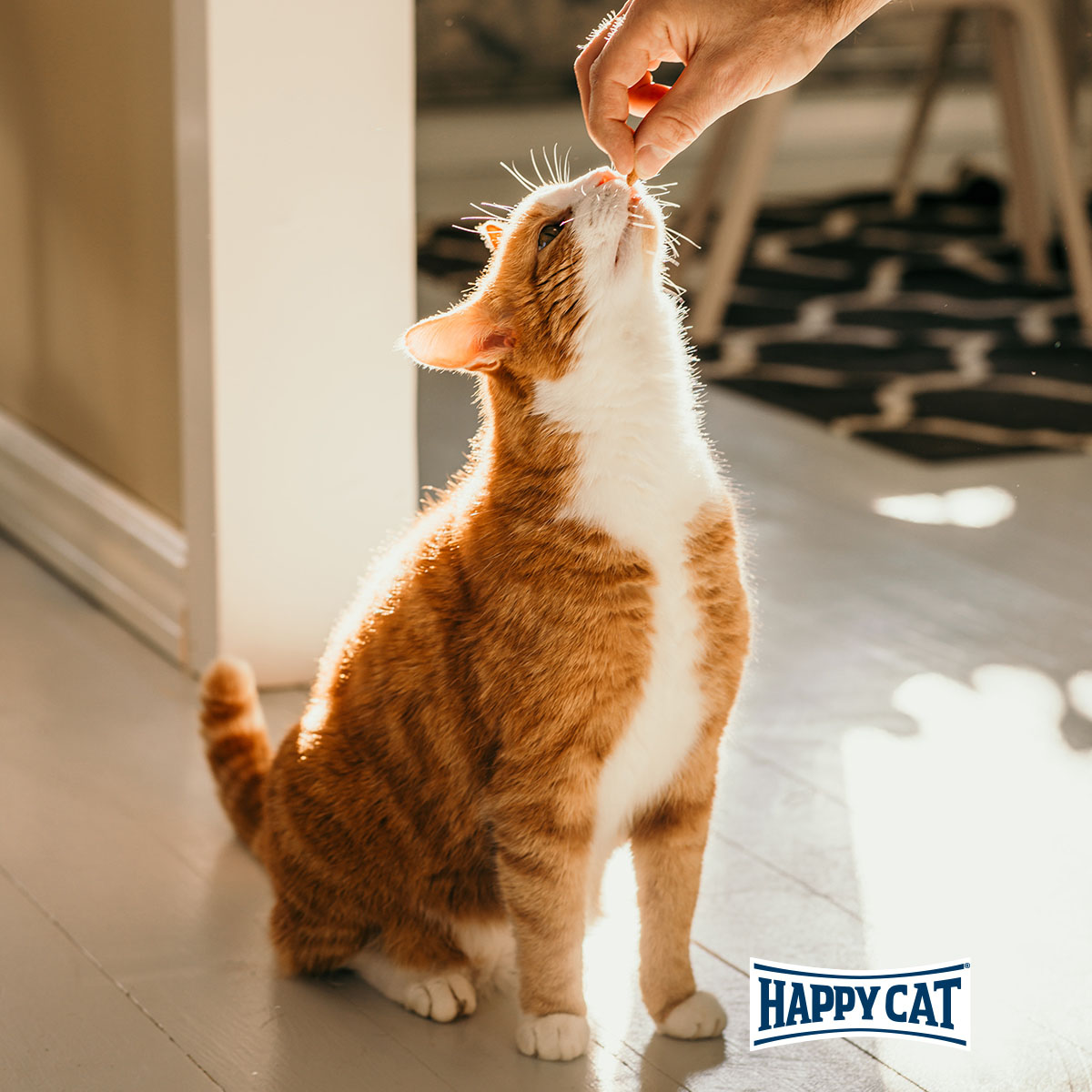Happy Cat Culinary Crunchy Snack Atlantik-Lachs