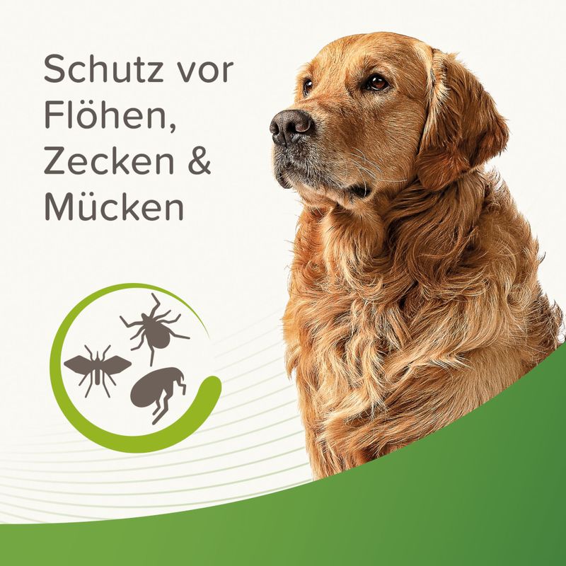beaphar Zecken- & Flohschutz-Halsband für Hunde, beige | bitiba %