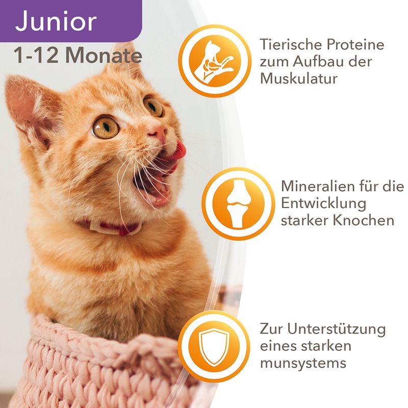 IAMS Delights Kitten Huhn in Sauce zu TOP-Preisen