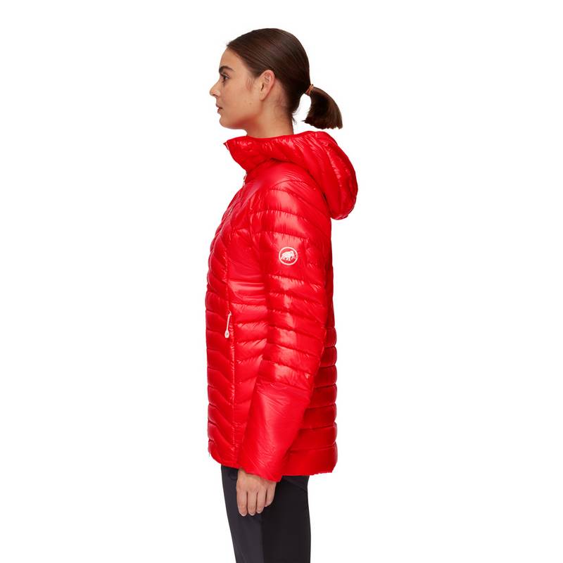 Mammut Eigerjoch Advanced Hooded Daunenjacke Damen