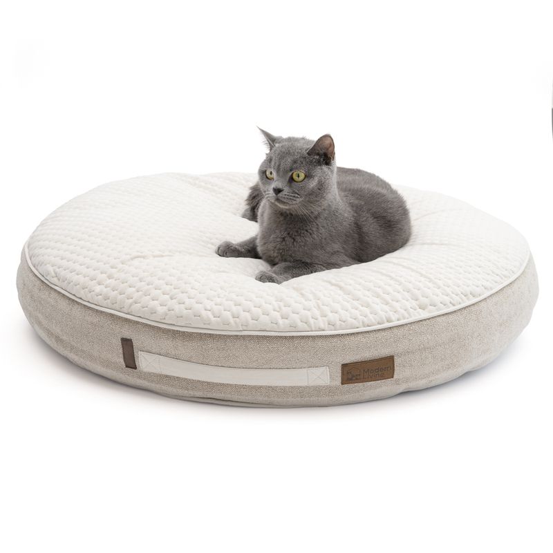 Modern Living Kuschelkissen Salvo zu TOP-Preisen