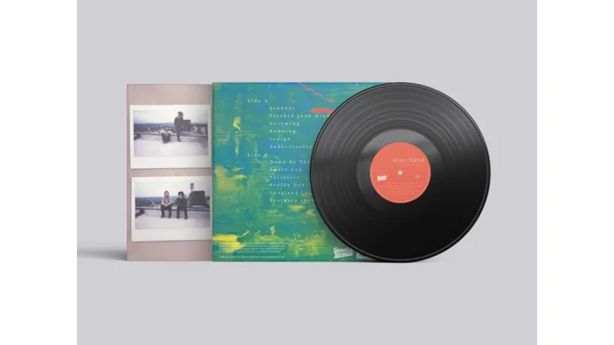 Sadnecessary (LP/180g)
