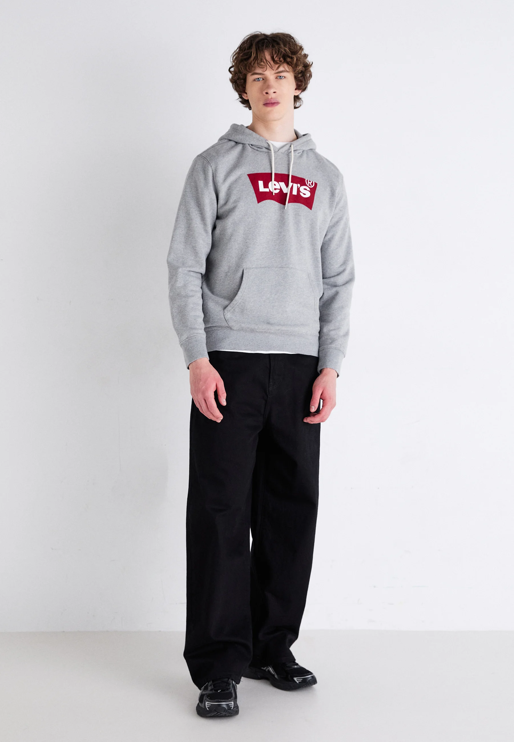 Sudadera con capucha Levi's® STANDARD GRAPHIC - Sudadera con capucha
