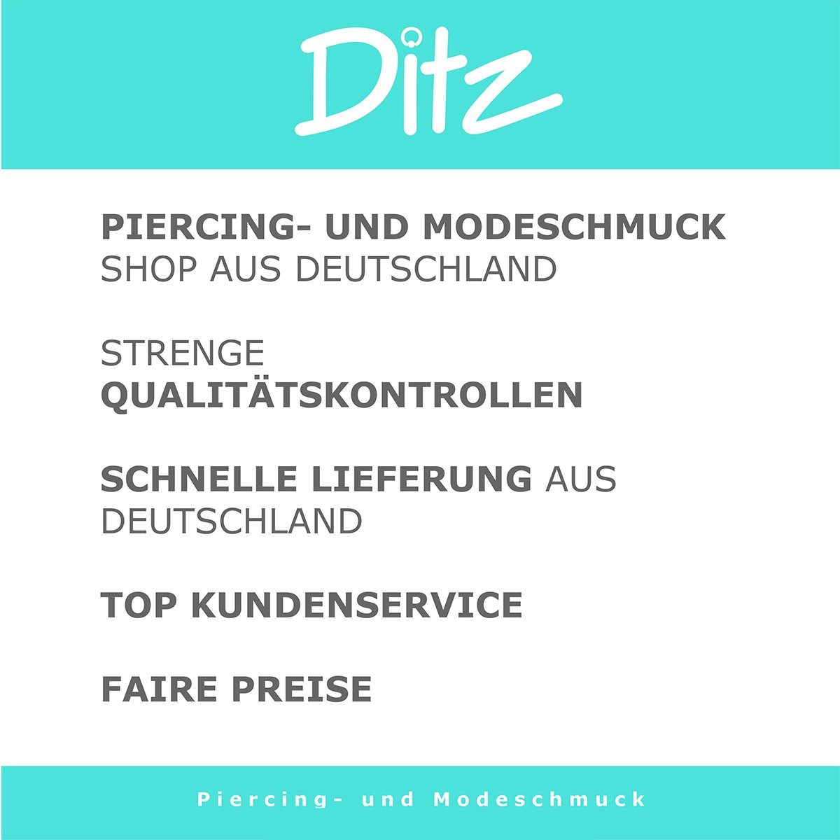 Ditz Paar Ohrstecker Fake Plug Titan runder Ohrstecker mit Zirkonia Stein in Silber, Fake Plug Piercing Ohrstecker zum Schrauben rund Damen Herren Ohrring