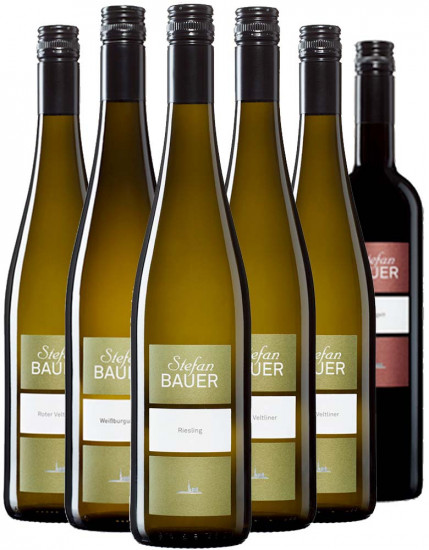 Stefan Bauer Kennenlern-Paket - Weingut Stefan Bauer