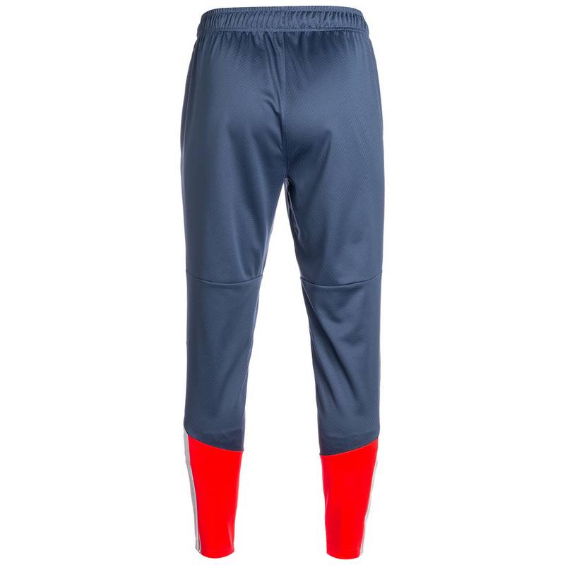 PUMA IndividualCUP Trainingshose Herren