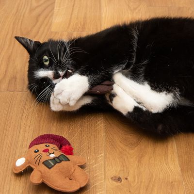 Katzenspielzeug Lebkuchen-Maus & Rentier