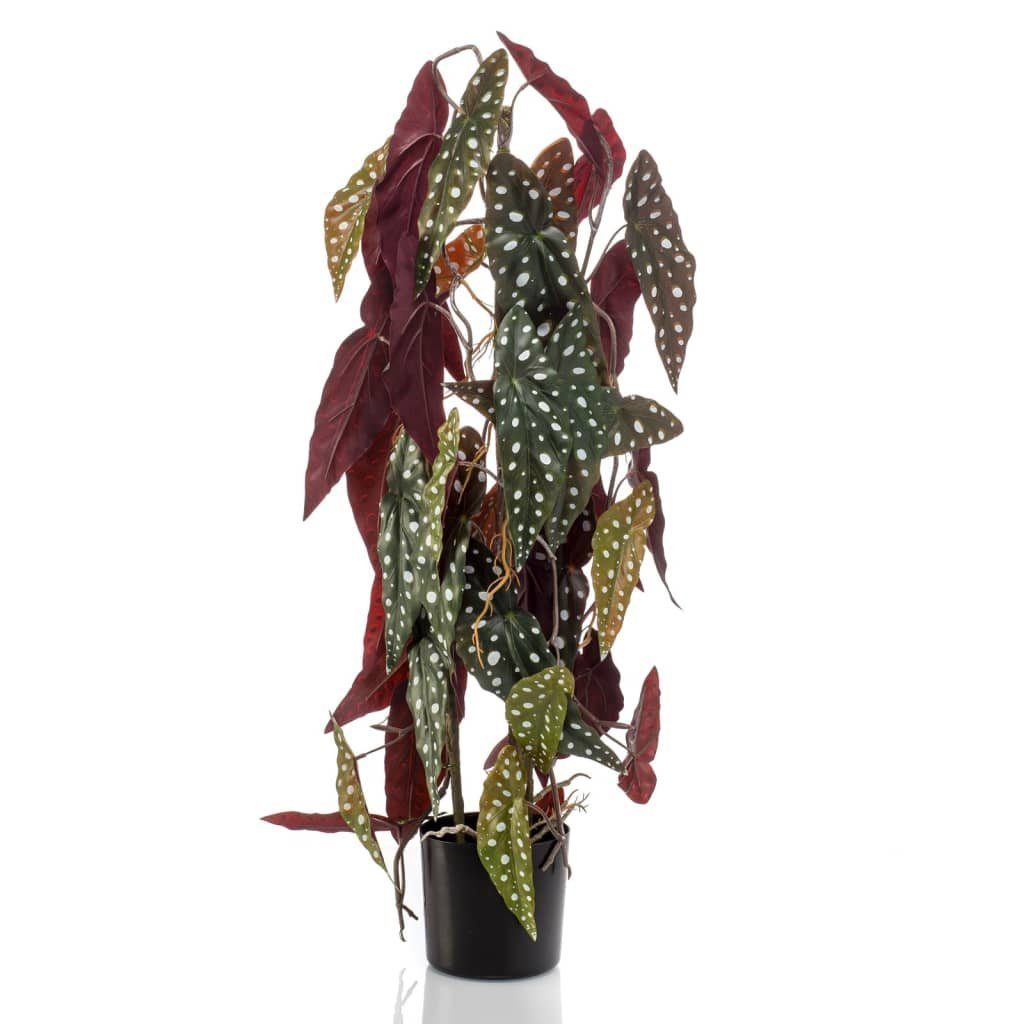 Kunstrasen Künstliche Begonia Maculata (Forellenbegonie) 75 cm im Topf, Emerald, Höhe: 75 mm