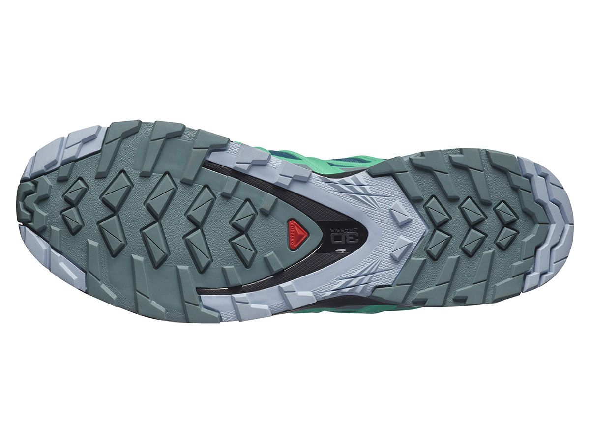 Salomon Xa Pro 3D V8 GTX Legion/Trooper Damen Wanderschuhe