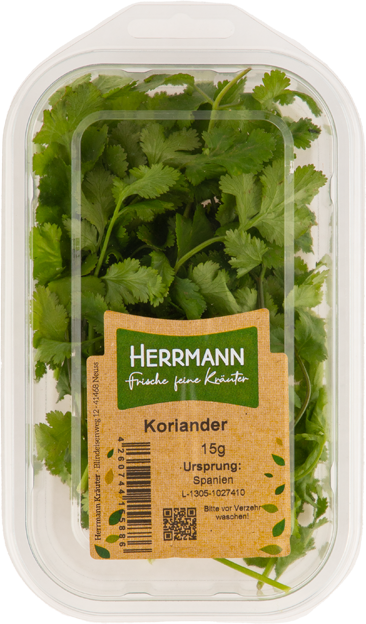 Koriander