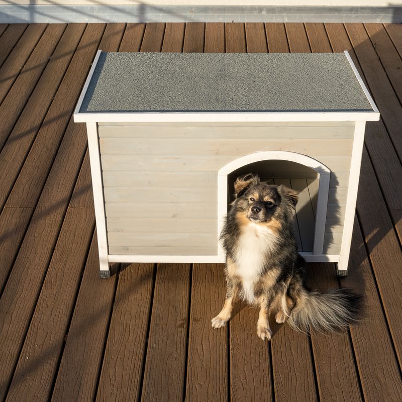 Modern Living Bergen Faltbare Hundehütte zu TOP-Preisen | bitiba