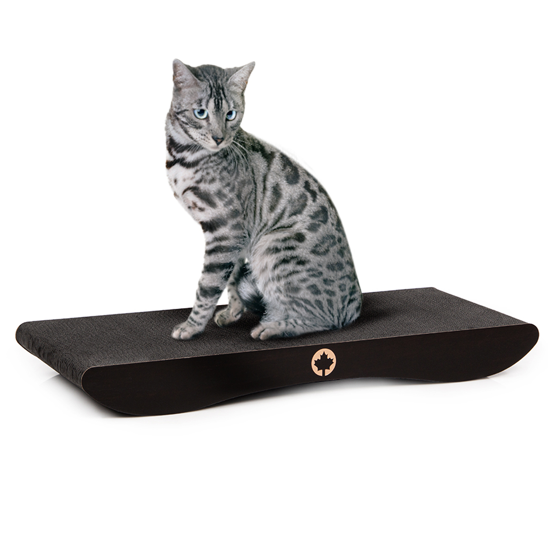 Canadian Cat Company Kratzbretter & Kratzpappen Canadian Cat Company Kratzbrett Comet XL schwarz