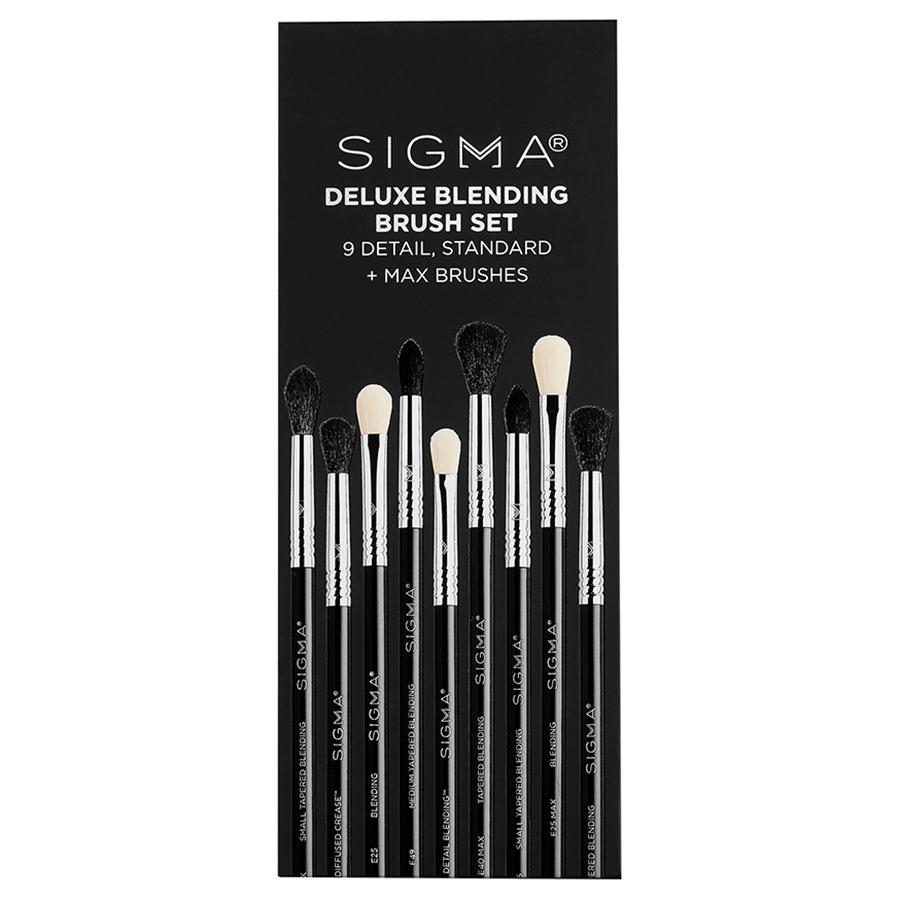 SigmaTech® this Professional-Grade Brush Set