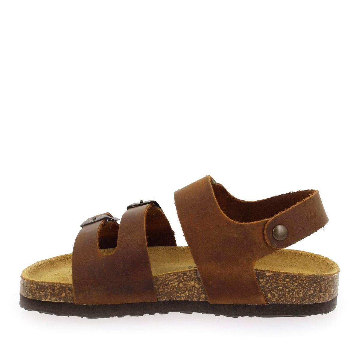 Plakton  PYTON - Marron