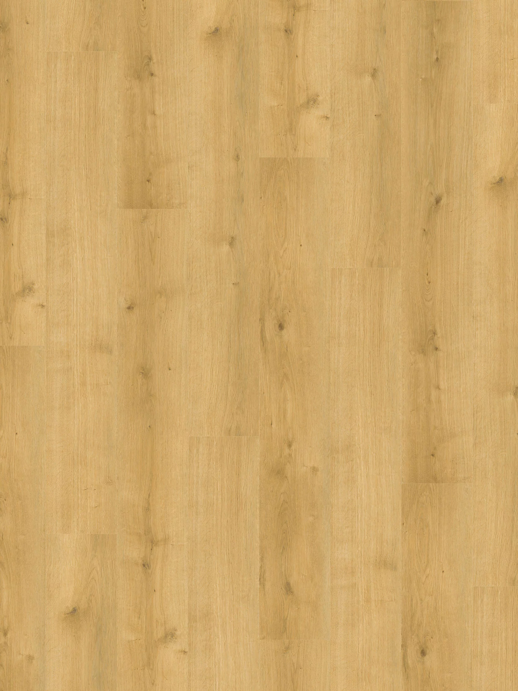Whisper Wood Vinylboden, Elegance Pine 10553