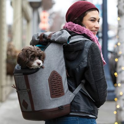 KURGO K9 Rucksack