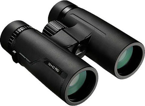 Olympus 10x42 PRO Fernglas