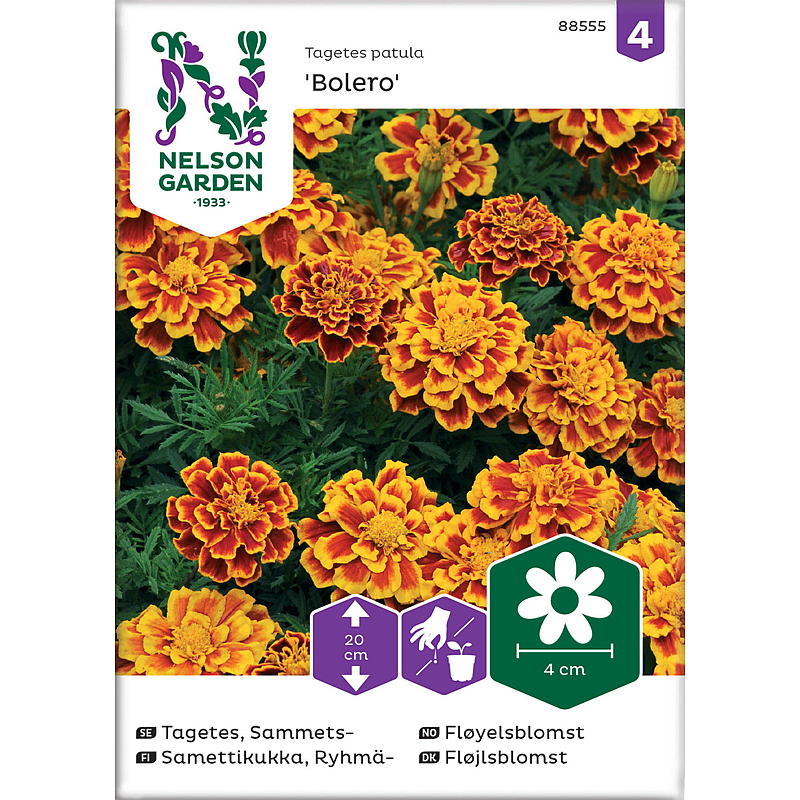 Nelson garden Frø Fløyelsblomst Bolero, lav