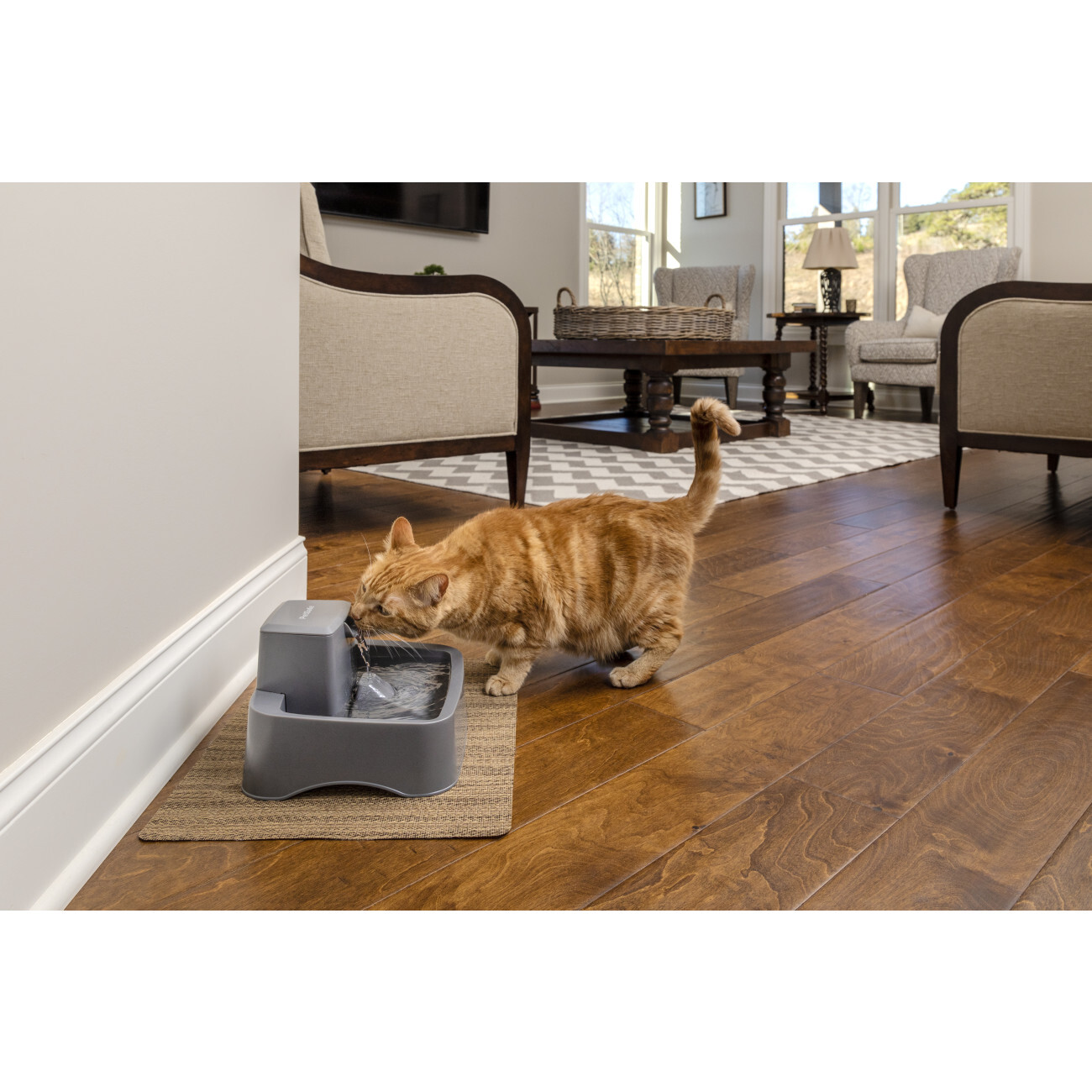 PetSafe Trinkbrunnen PetSafe Trinkbrunnen 1,8 l