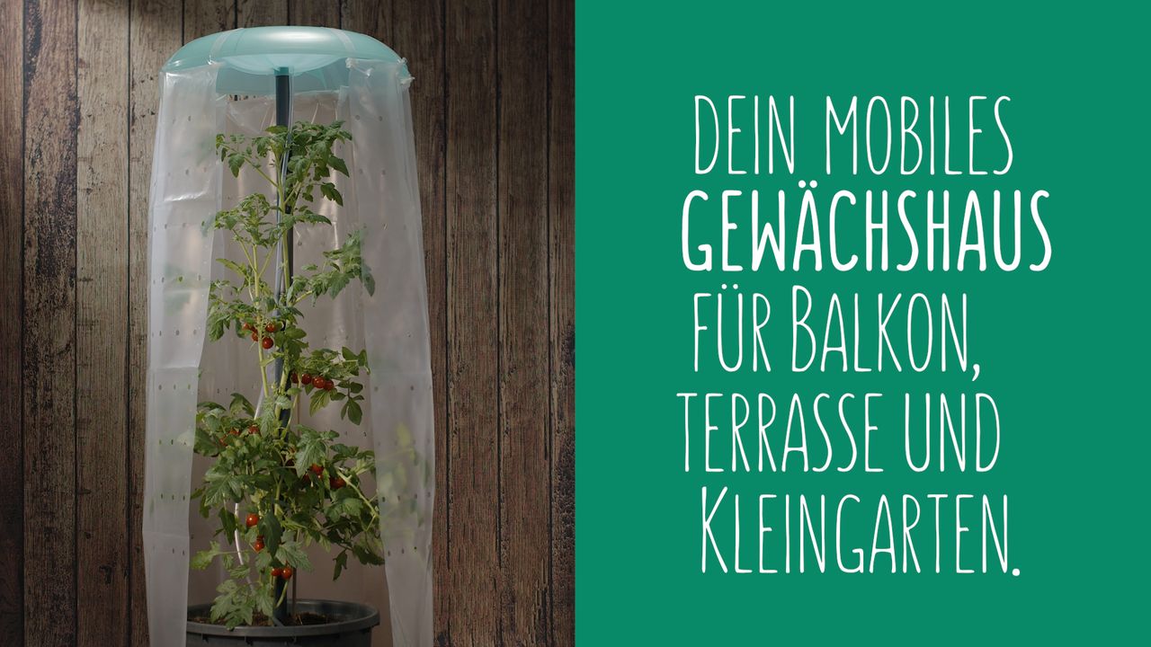 KHW KHW Tomatenhut 3er Set inklusiv Stab und Schutzfolie