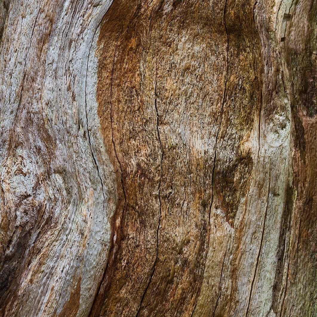Wood Essence