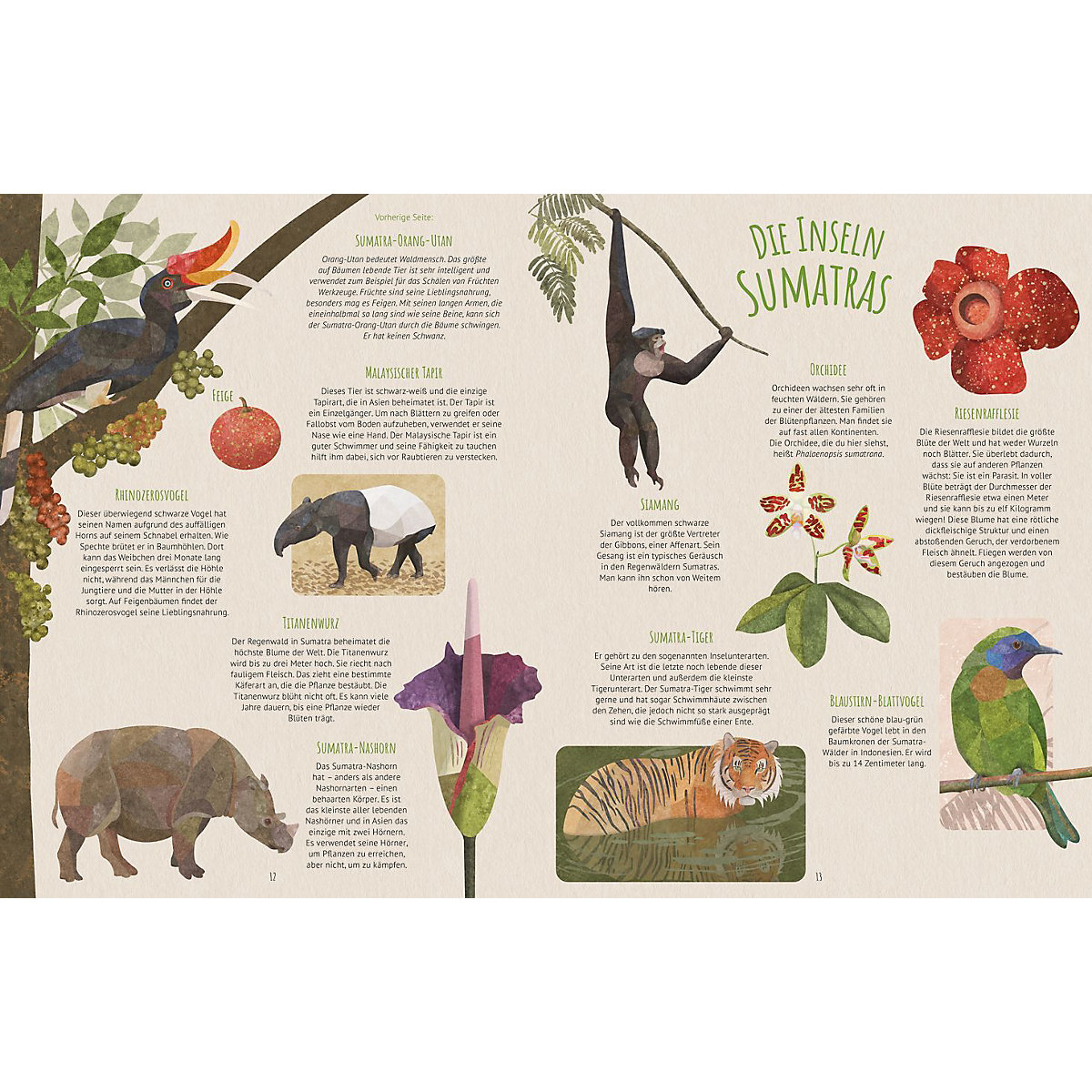 Biome der Welt
