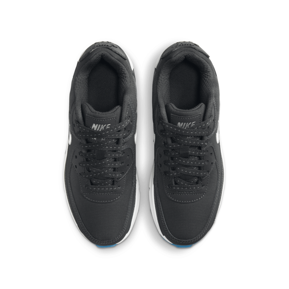 Nike Air Max 90 FV0361-001 / grau