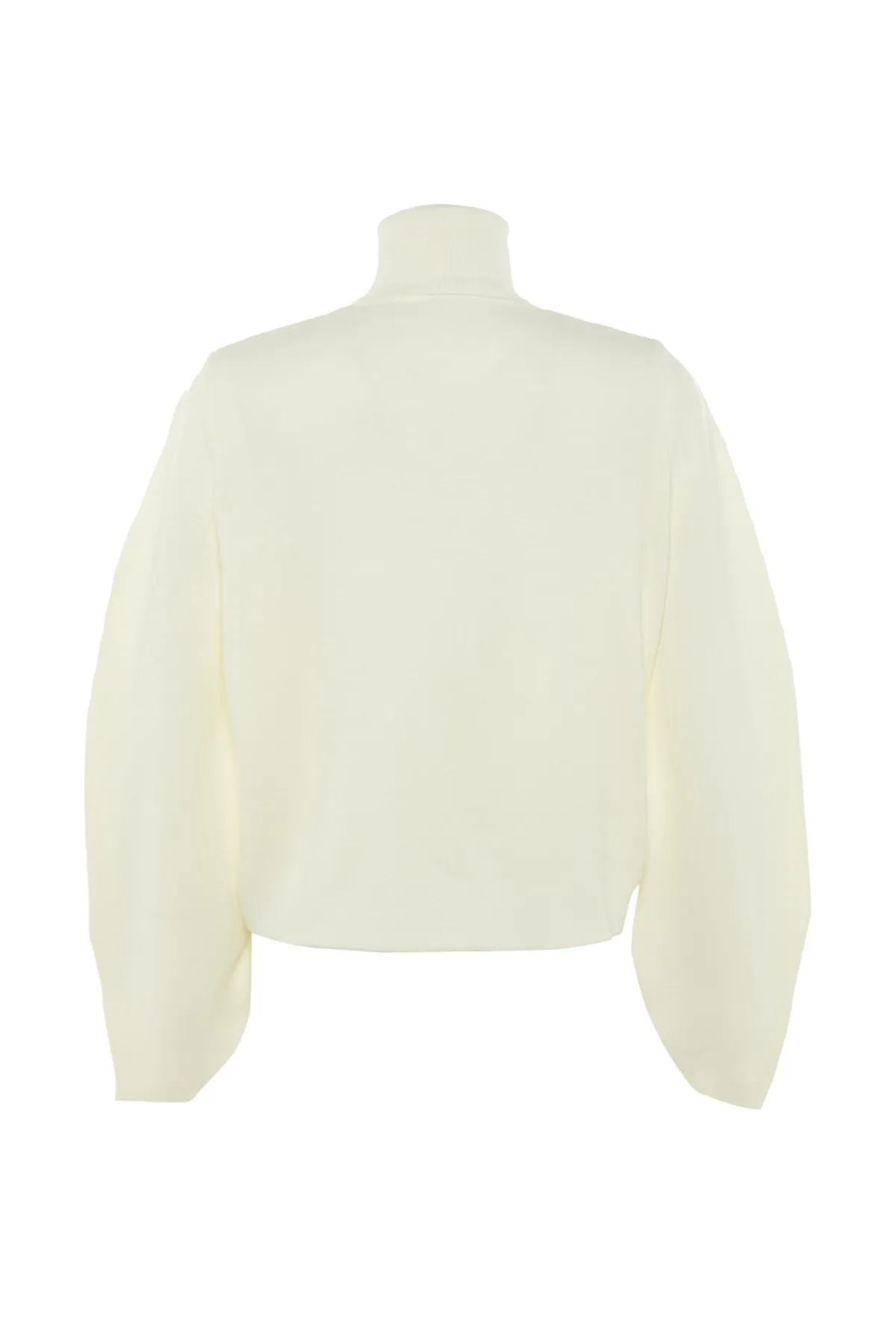 Trendyol Collection  Ecru Basic Rollkragenpullover TWOAW21KZ0485