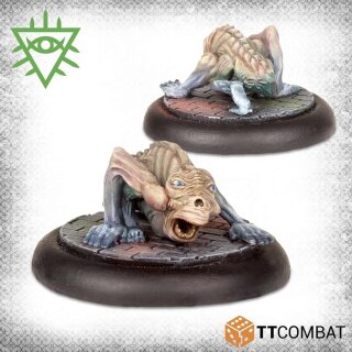 Matriarch's Brood