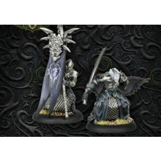 Legion of Everblight Captain Farilor & Standard Nyss Legionnaire