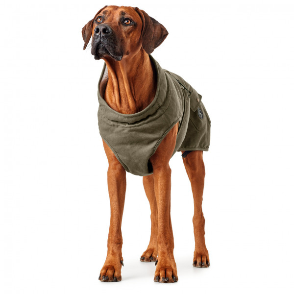 Hunter - Dog Coat Uppsala Trend - Hundemantel