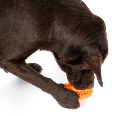 TIAKI Hundespielzeug Rugby Treat