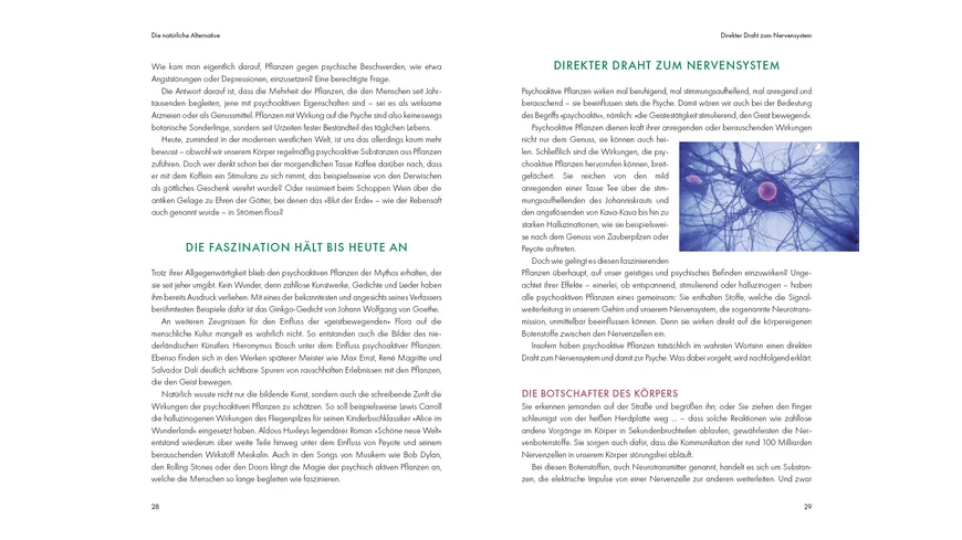 Grüne Helfer für die Psyche - Die Heilkraft der Natur