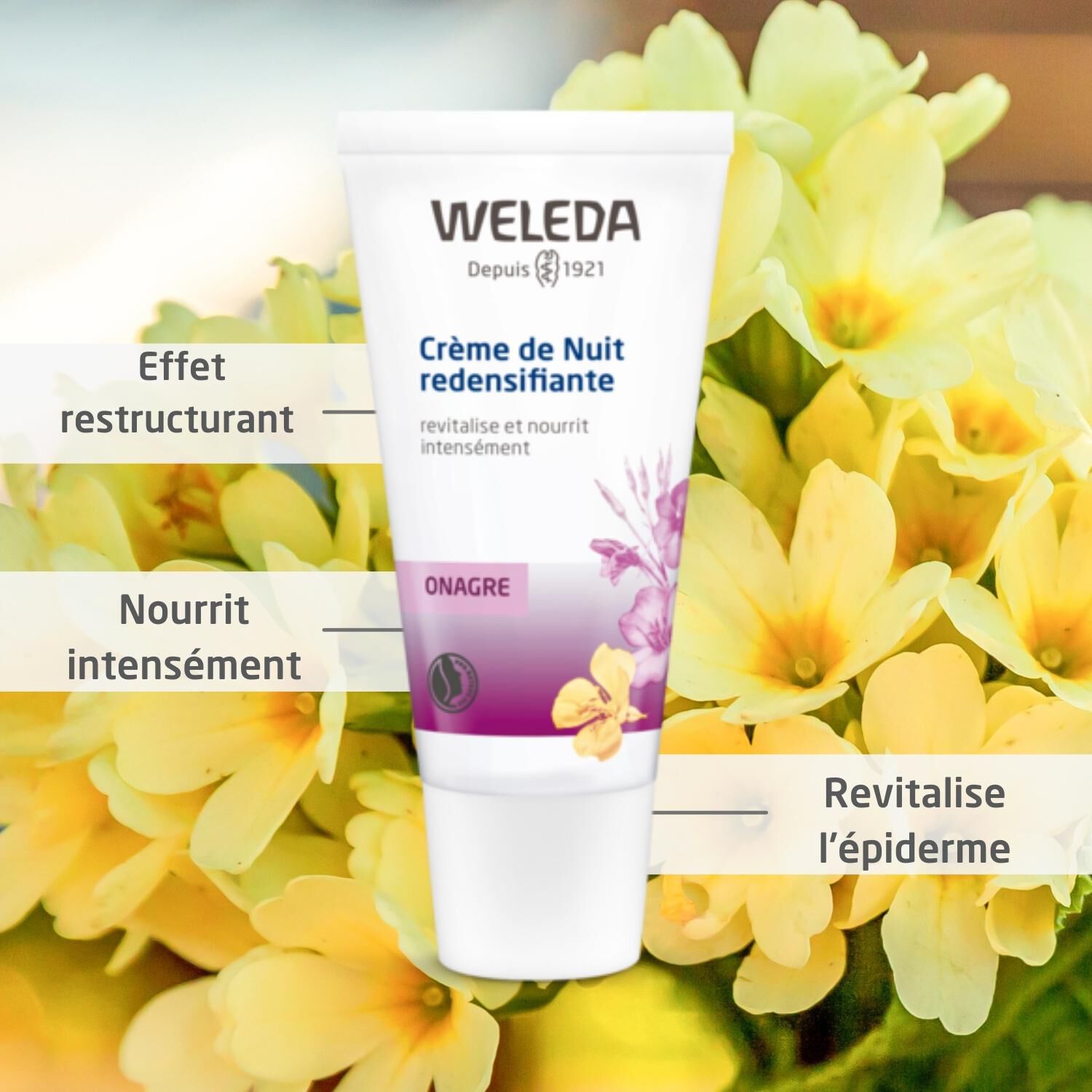 Weleda Onagre Crème de Nuit Redensifiante - Peaux Matures - 30 ml