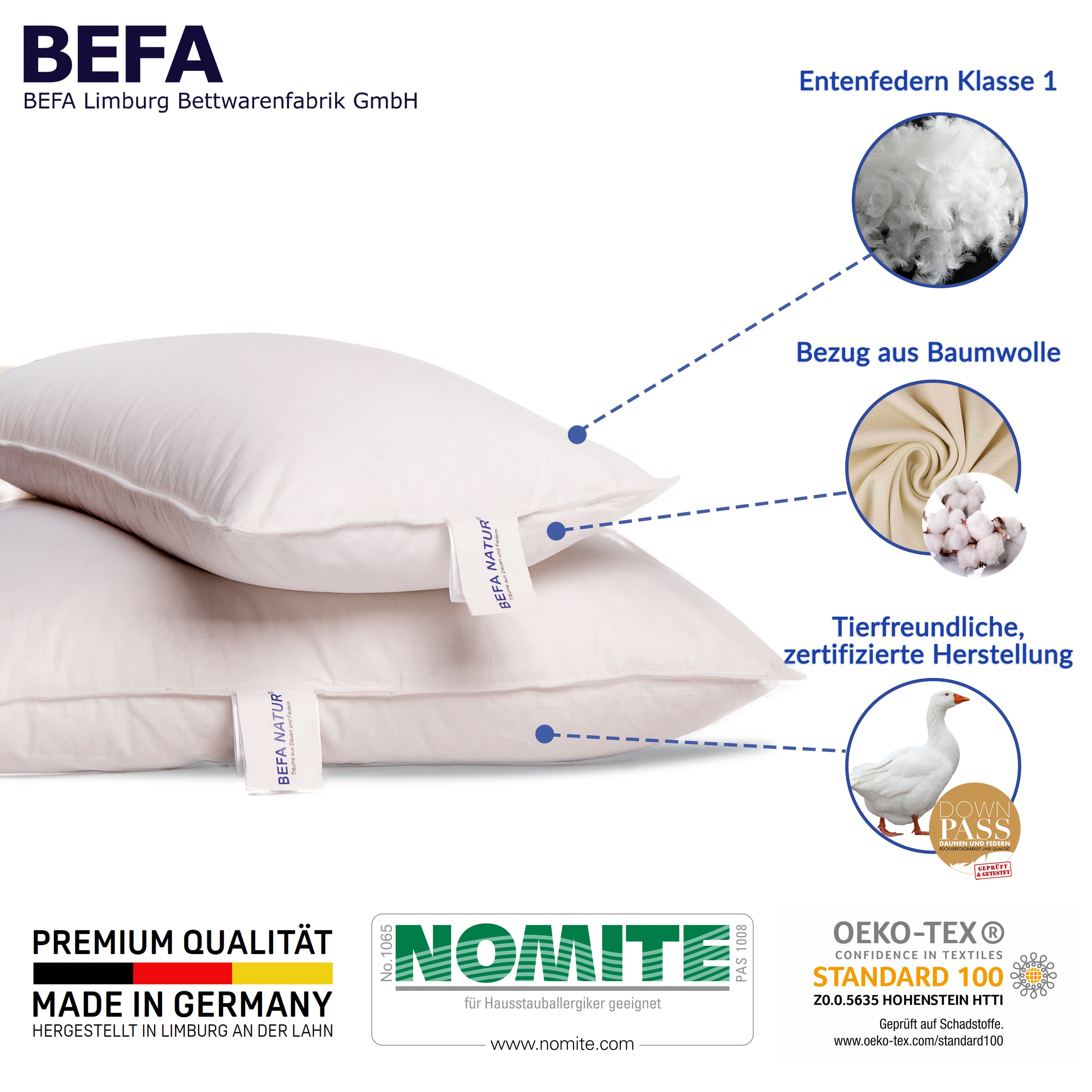 Federkopfkissen kuschelig weiches Premium Federkissen 40 x 80 cm, BEFA NATUR, Füllung: 100% Entenfedern, Seitenschläfer, Rückenschläfer, Bauchschläfer, Made in Germany - hochwertige Verarbeitung - Allergiker geeignet