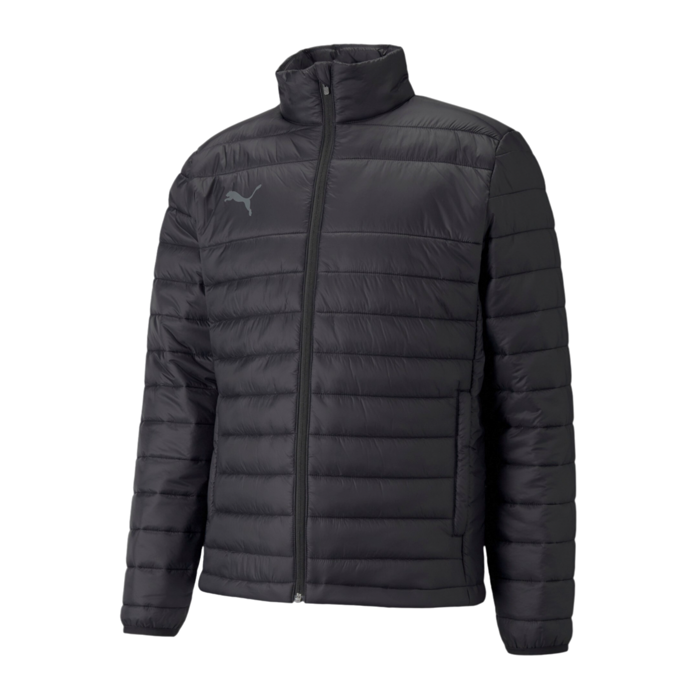PUMA teamLIGA Light Trainingsjacke Schwarz F03