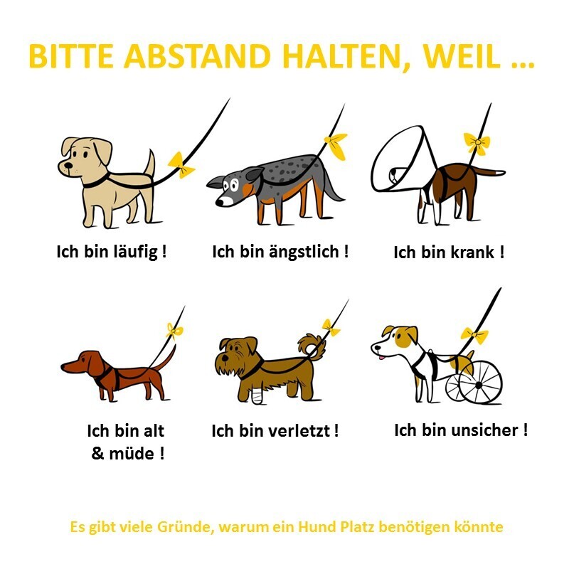 Curli Hundegeschirre Curli Anhänger Yellow Dog