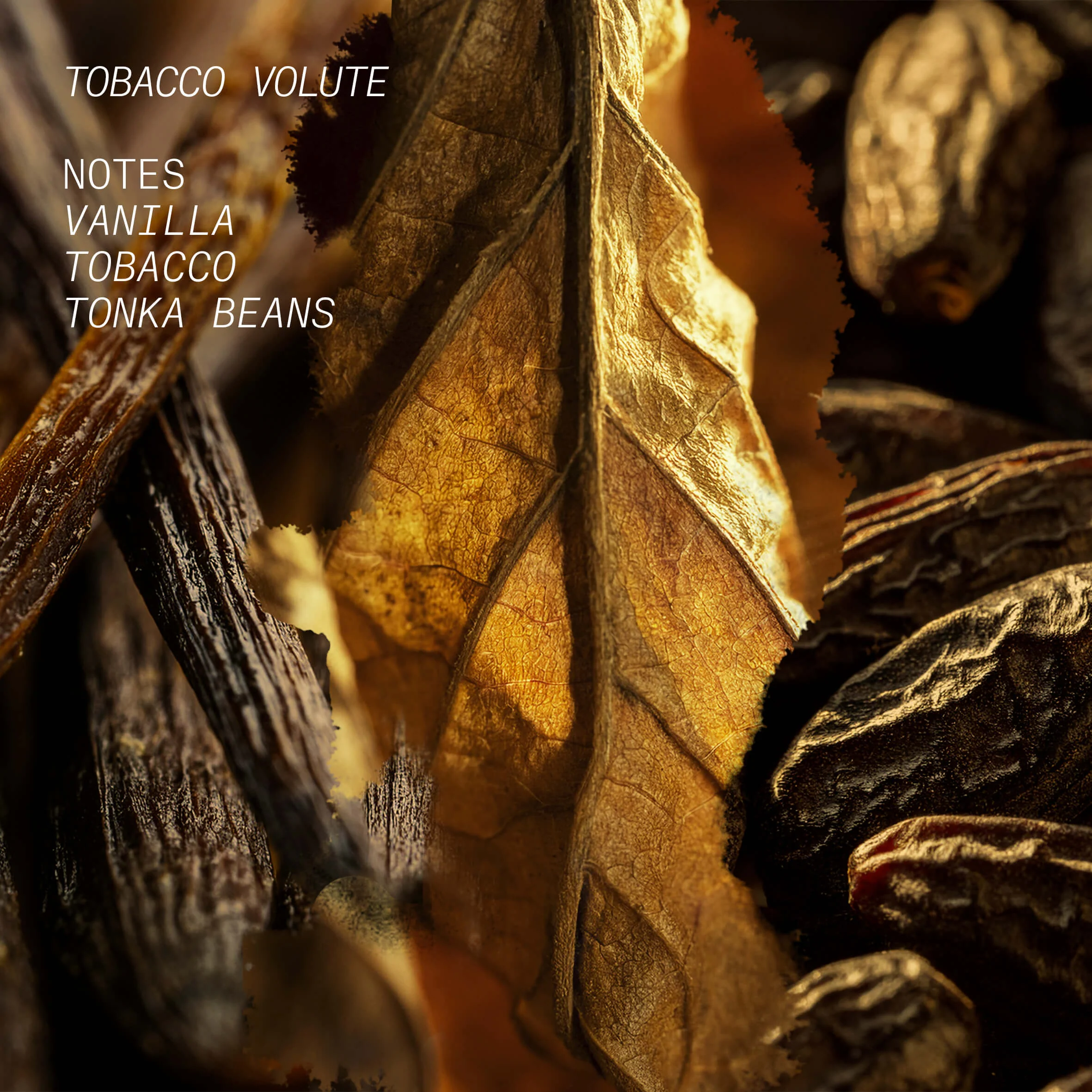 Maglica za kosu i tijelo Tobacco Volute - Aromatična voda