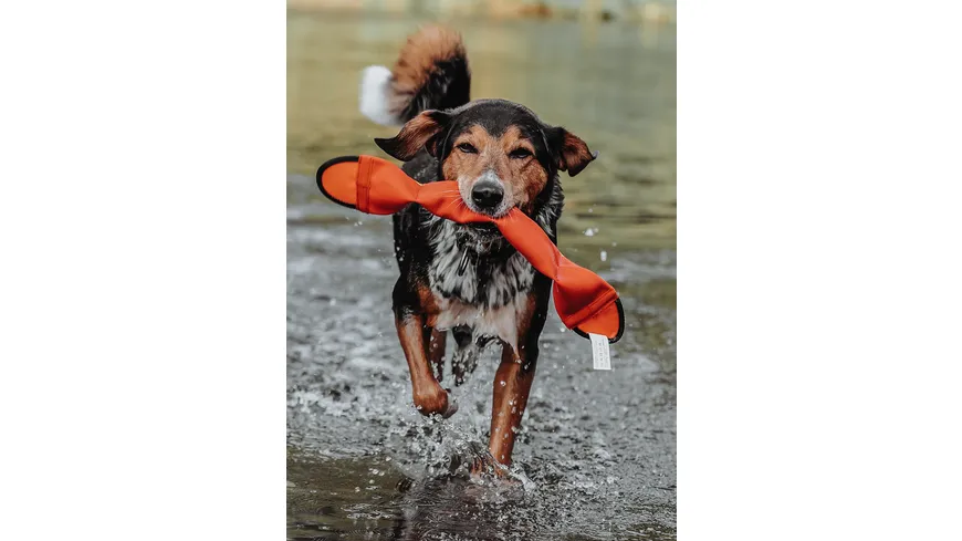 Hunter Hundespielzeug Aqua Mindelo Schlange orange