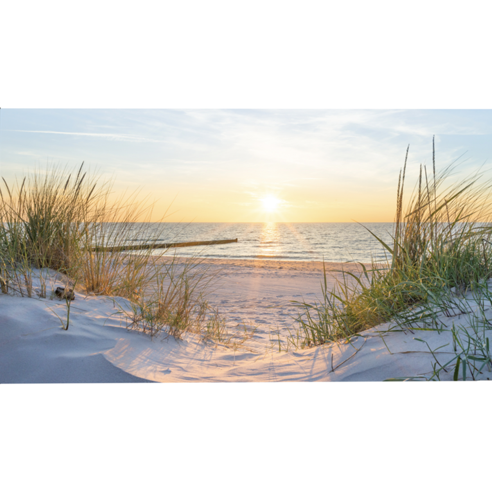 HC Garten & Freizeit Foto-Seitenmarkise, doppelseitig mit Fotodruck - Ostsee Dünen 1,6x3m