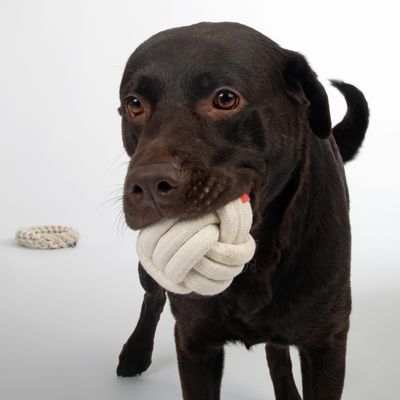 TIAKI Hundespielzeug Seilball