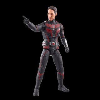 Marvel Legends Series: Cassie Lang BAF: Ant-Man