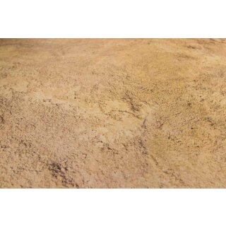 Desert Plain 44