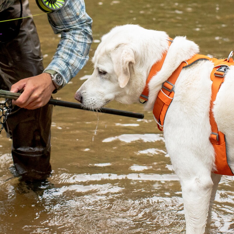 Ruffwear Halsband Front Range®