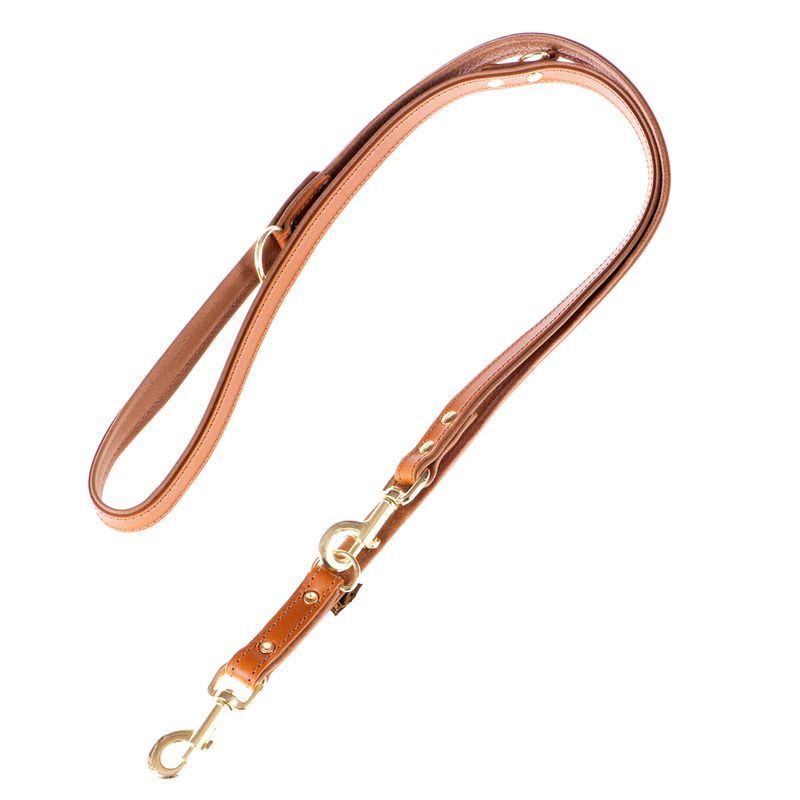 Sparset Heim Lederhalsband & Vorführleine Buffalo, cognac % bei bitiba.de