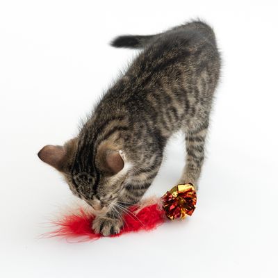 TIAKI Katzenspielzeug Knisterball mit Federn