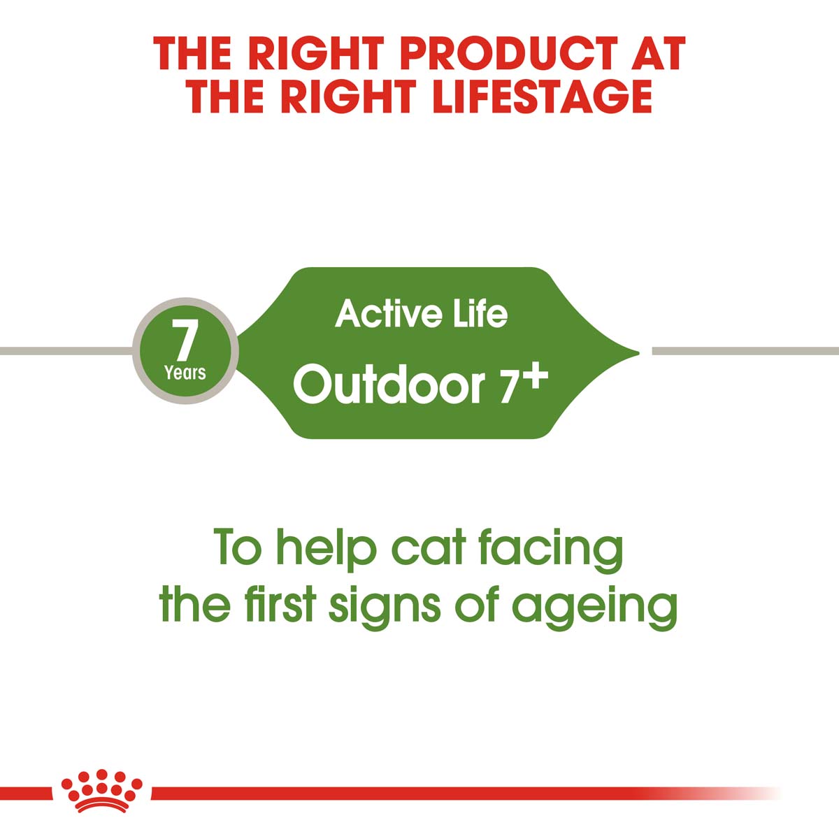 ROYAL CANIN OUTDOOR 7+ Katzenfutter trocken für ältere Freigänger