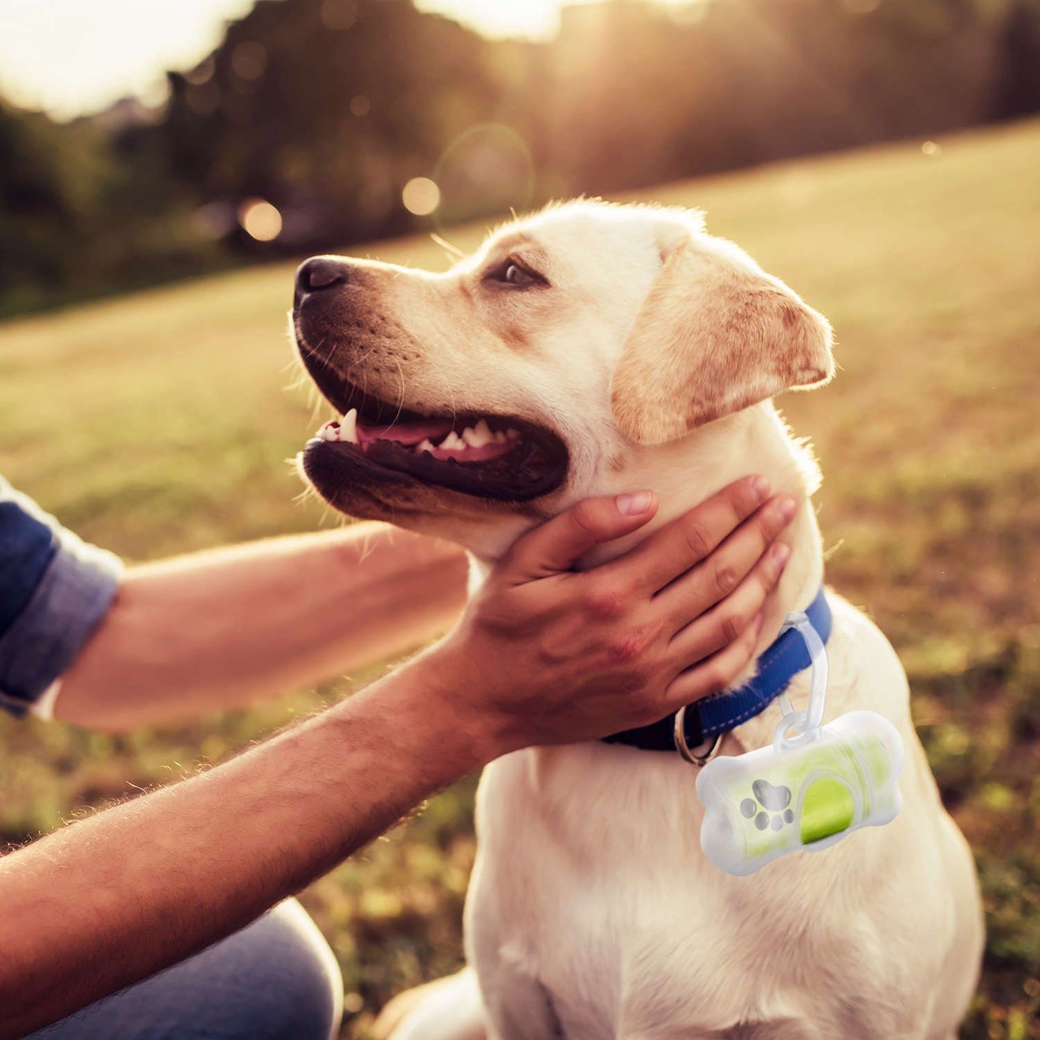 all Pets United Hunde-Geschirr Hundekotbeutel, Kompostierbare Kotbeutel, Biologisch abbaubare Hundebeutel