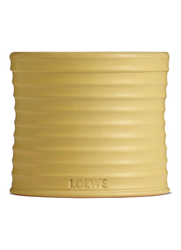 LOEWE vidēja izmēra sausserža svece - aromātiskā svece 610 grami