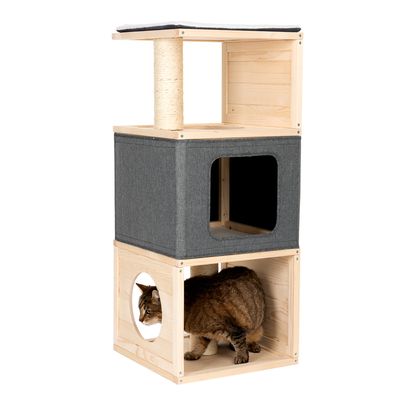 Katzenhaus Cubist